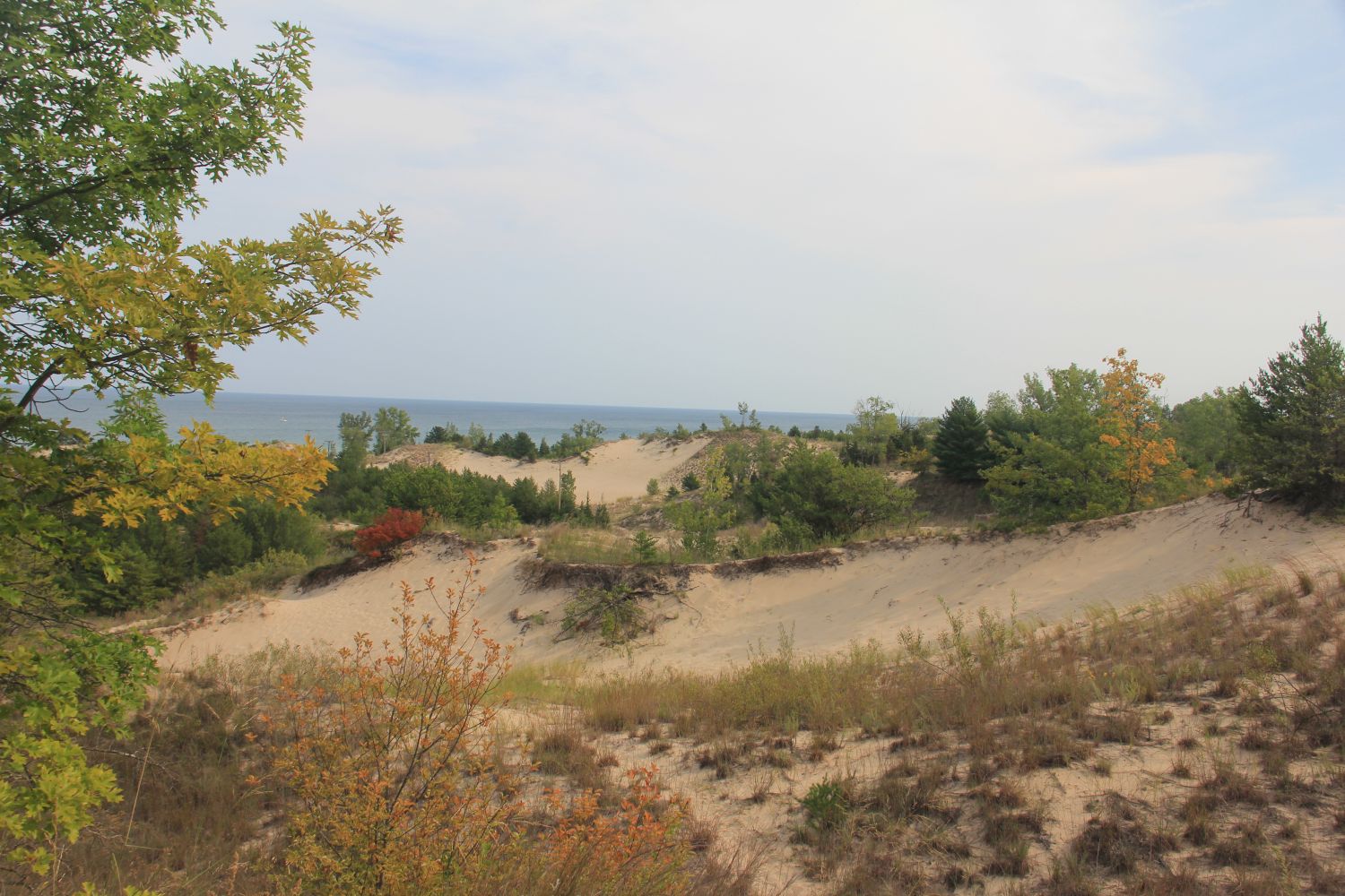 Diana of the Dunes Succession Trail 